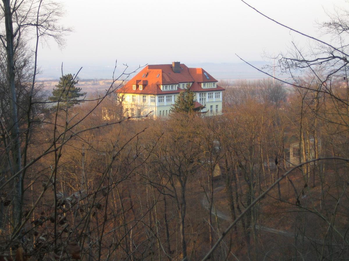 Hotel Stubenberg Gernrode (Saxony-Anhalt) Exterior foto