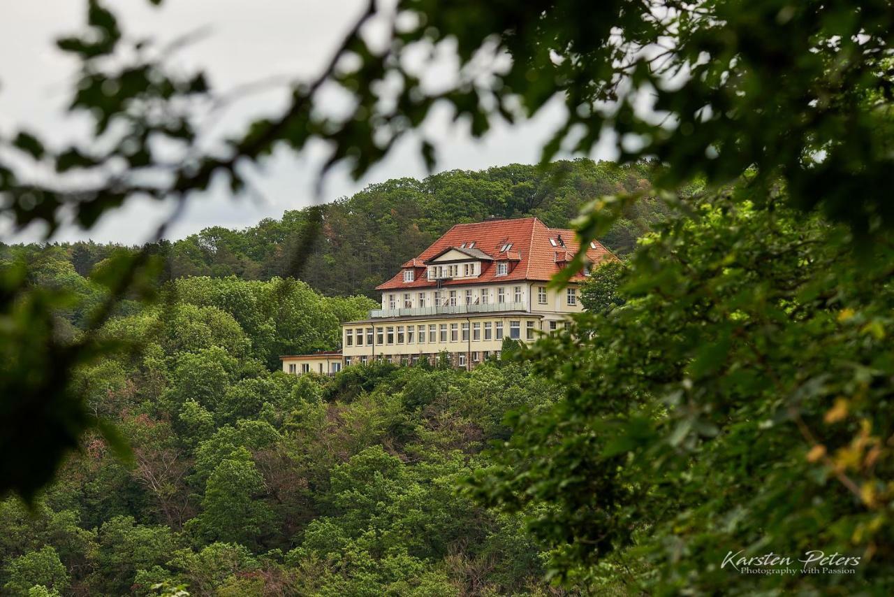 Hotel Stubenberg Gernrode (Saxony-Anhalt) Exterior foto