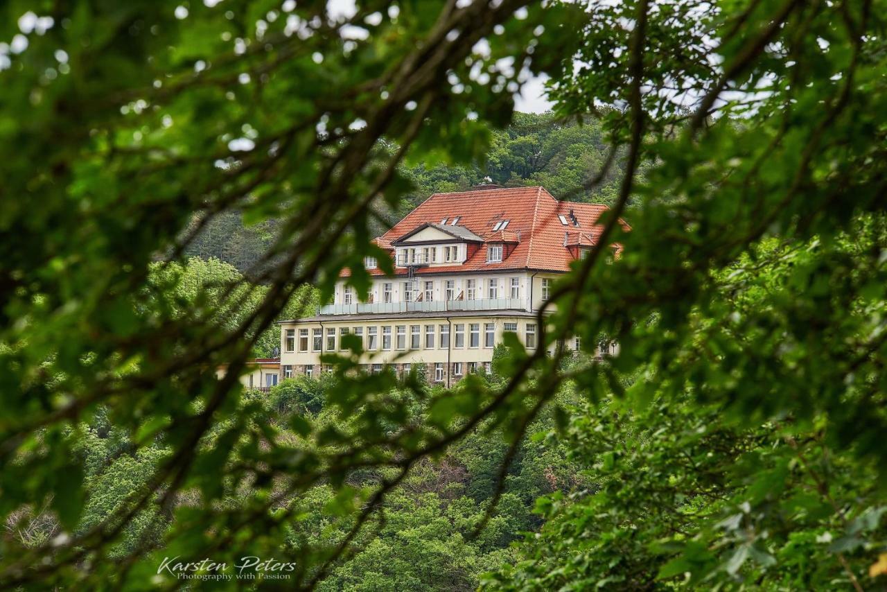 Hotel Stubenberg Gernrode (Saxony-Anhalt) Exterior foto